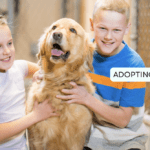10 Things to Consider Before Adopting a Pet